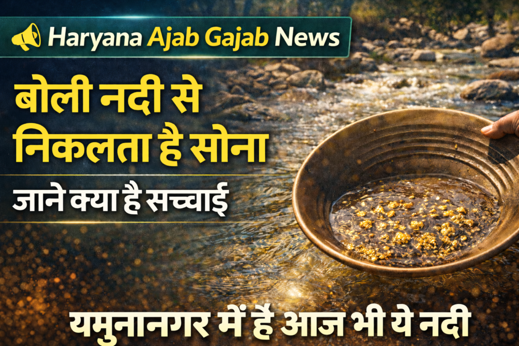 Boli River Gold Yamunanagar